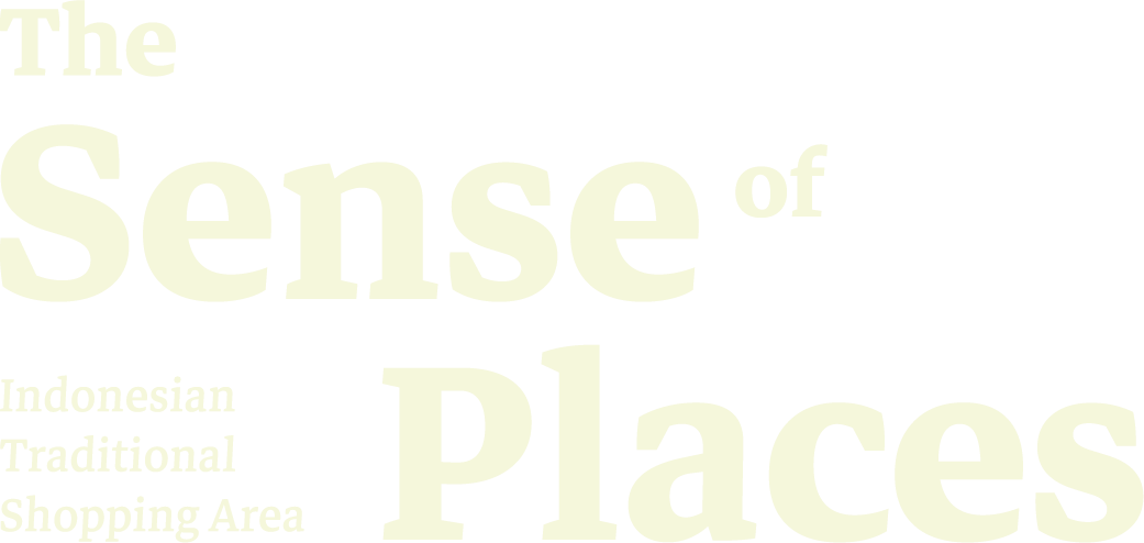 THE SENSE OF PLACES logo light
